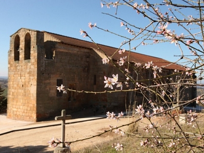 Hinojosa de Duero
