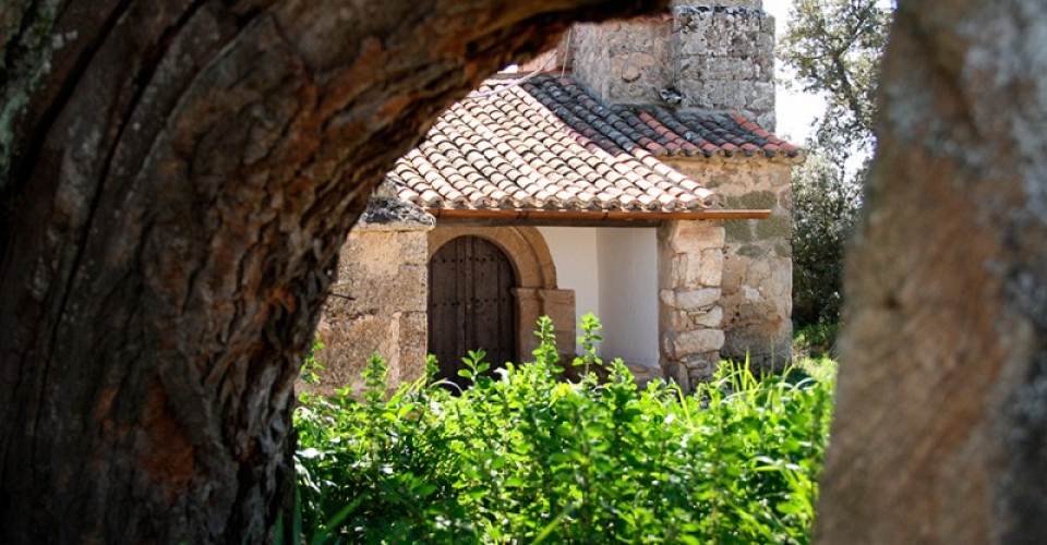 Objetivos
