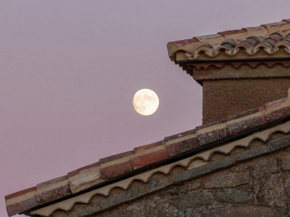 Restauración y conservación