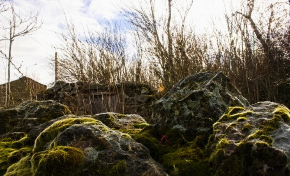 Sejas de Sanabria